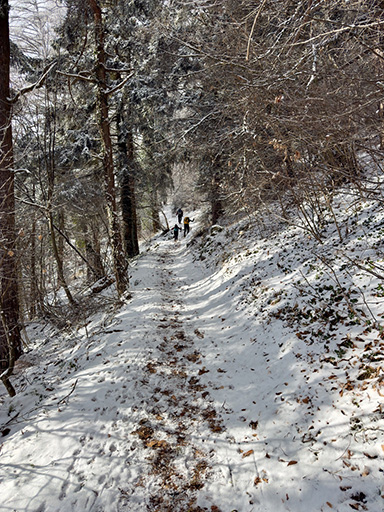 Entraînements et courses