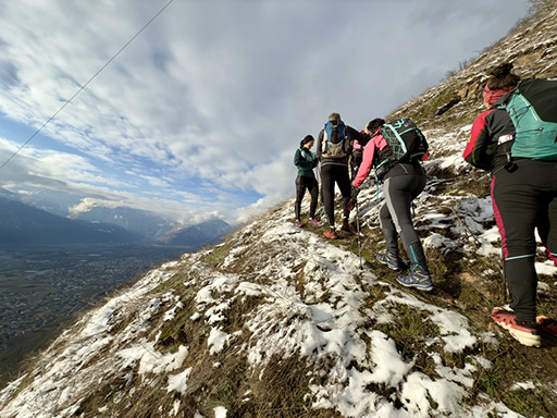 Sorties du dimanche