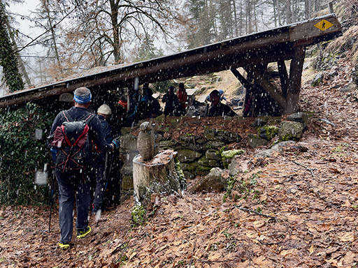 Sorties du dimanche